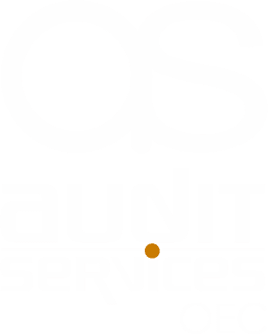 auditservices.co